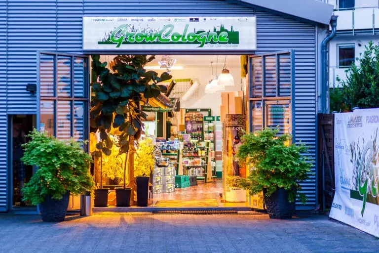Weit geöffnete Ladentür des GrowCologne Growshops am Abend: warmes Licht, Pflanzen und Regale, darüber das grüne GrowCologne-Schild an der Wellblech-Fassade.